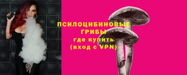 apvp Балабаново