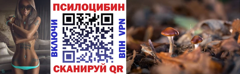 купить наркотики сайты  Горбатов  Галлюциногенные грибы MAGIC MUSHROOMS 